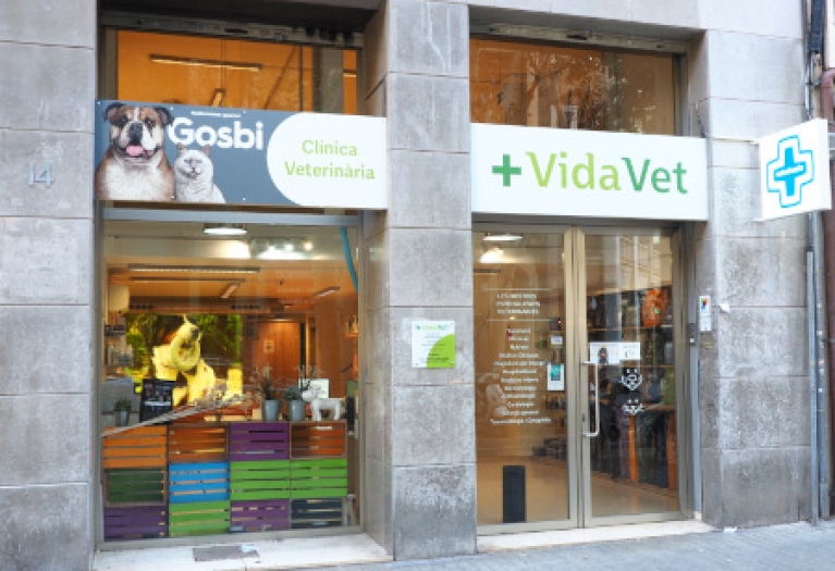 Clínica Veterinaria Londres
